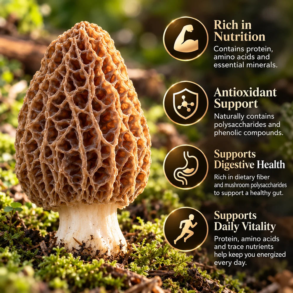 Himalayan Wild Morel Mushrooms — Hand-Picked, Rich & Aromatic-SE