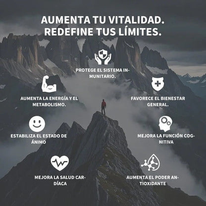 🏆 تخفيض سريع ⚡ أكثر من 160 ألف عملية بيع! ✨ Shilajit: معزز طبيعي للحجم والقدرة البدنية للرجال-INT