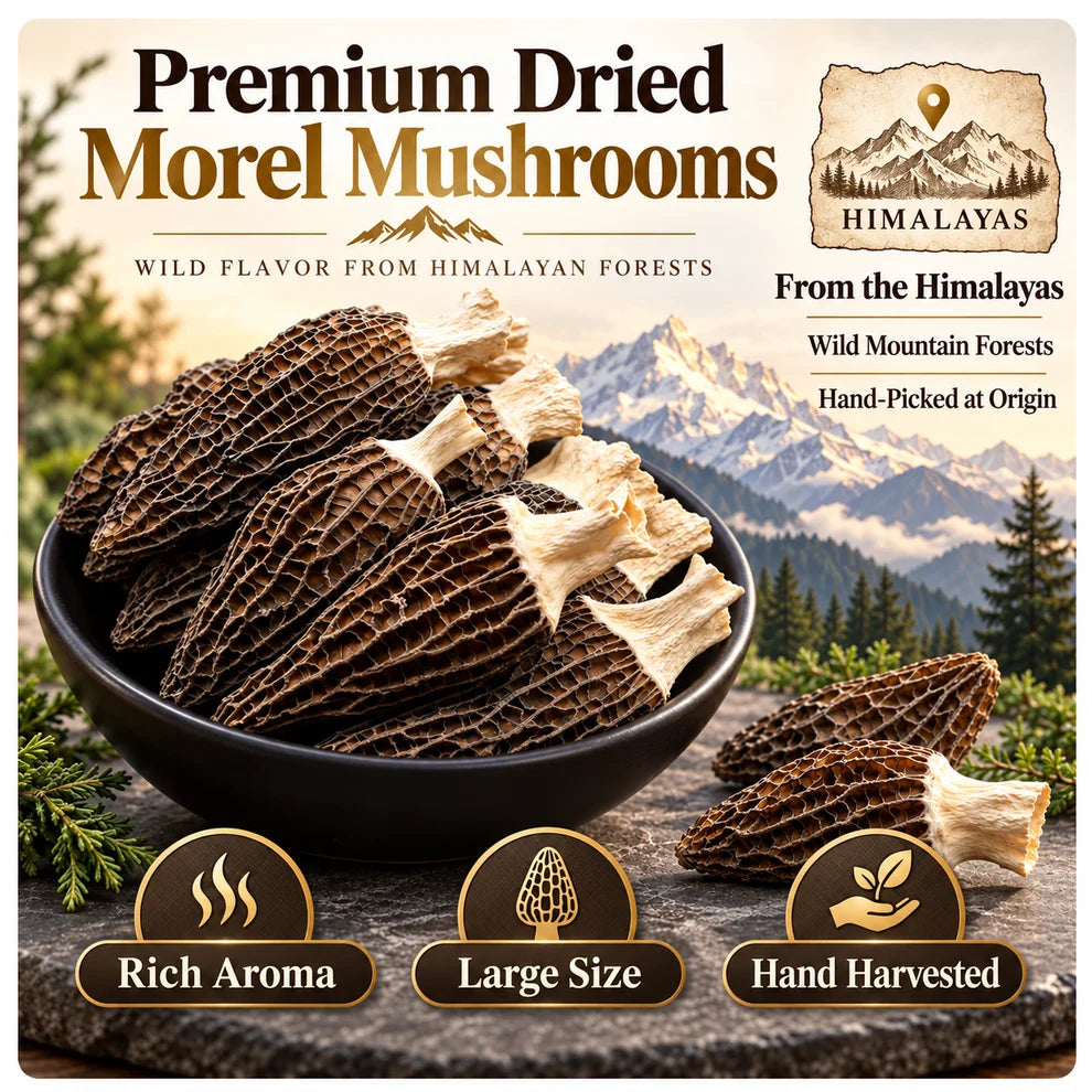 Himalayan Wild Morel Mushrooms — Hand-Picked, Rich & Aromatic-SE