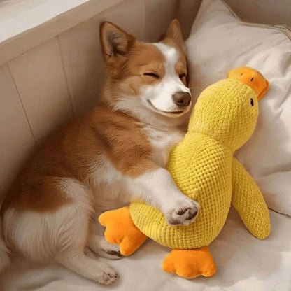 Peluche calmante per cani con suono di starnazzamento – riduce l’ansia da separazione | CALMQUA