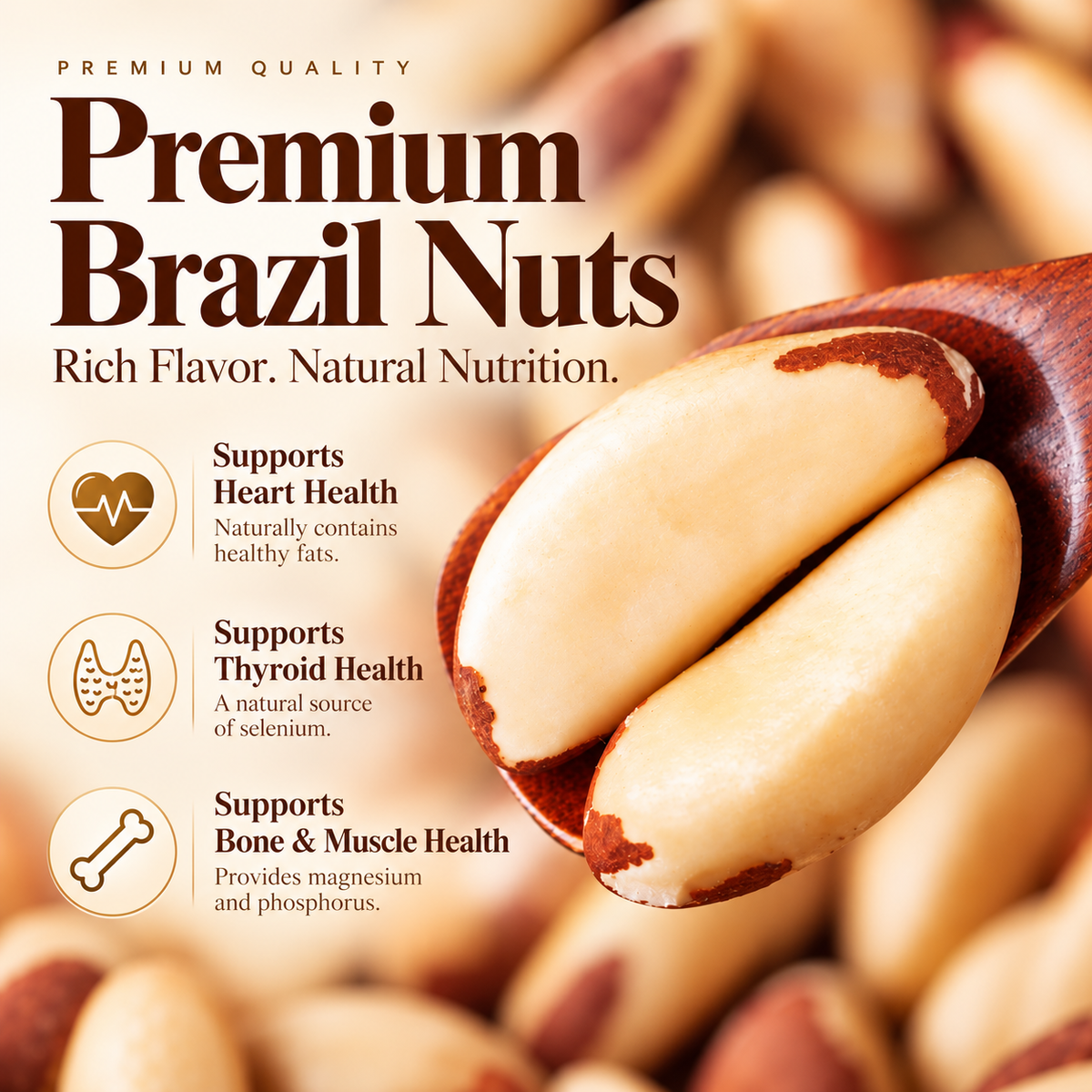 Premium Whole Brazil Nuts-Contains Heart-Healthy Unsaturated Fats-IUK