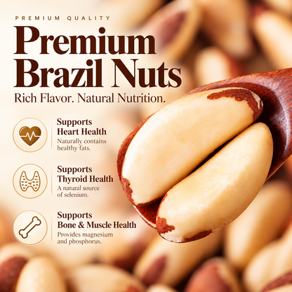 Premium Whole Brazil Nuts-Contains Heart-Healthy Unsaturated Fats-IUK
